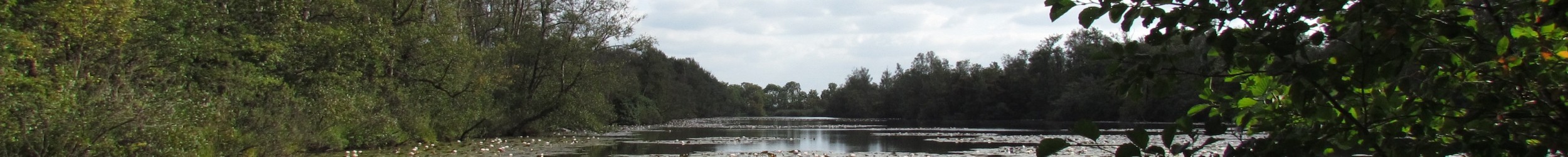 Staatsbosbeheer beheert 137 natuur en bosgebieden